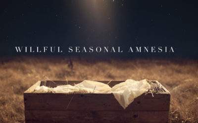 Willful Seasonal Amnesia